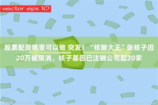 股票配资哪里可以做 突发！“核酸大王”张核子因20万被限消，核子基因已注销公司超20家