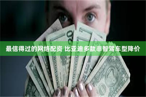 最信得过的网络配资 比亚迪多款非智驾车型降价