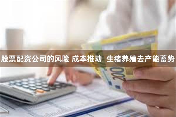股票配资公司的风险 成本推动  生猪养殖去产能蓄势