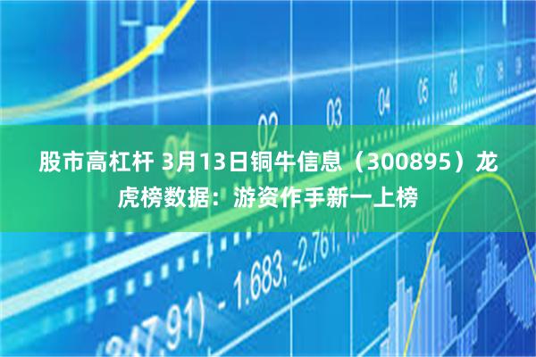 股市高杠杆 3月13日铜牛信息（300895）龙虎榜数据：游资作手新一上榜