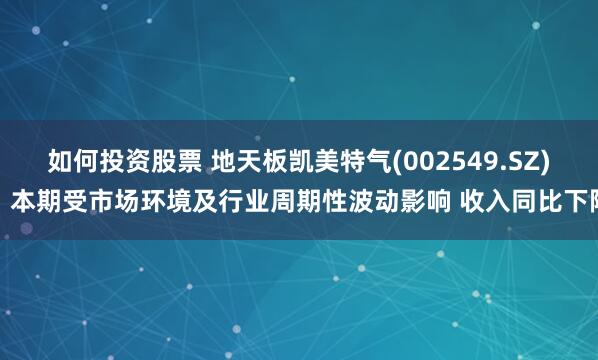 如何投资股票 地天板凯美特气(002549.SZ)：本期受市场环境及行业周期性波动影响 收入同比下降