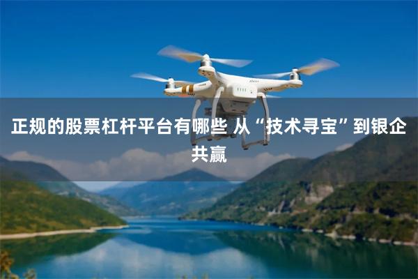 正规的股票杠杆平台有哪些 从“技术寻宝”到银企共赢