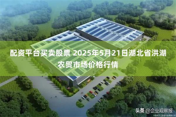 配资平台买卖股票 2025年5月21日湖北省洪湖农贸市场价格行情