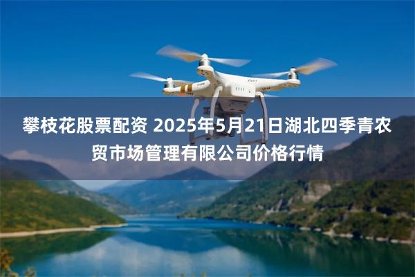 攀枝花股票配资 2025年5月21日湖北四季青农贸市场管理有限公司价格行情