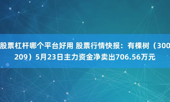 股票杠杆哪个平台好用 股票行情快报：有棵树（300209）5月23日主力资金净卖出706.56万元