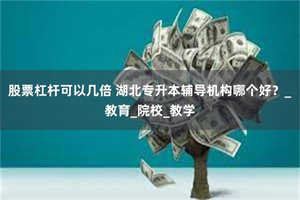 股票杠杆可以几倍 湖北专升本辅导机构哪个好？_教育_院校_教学