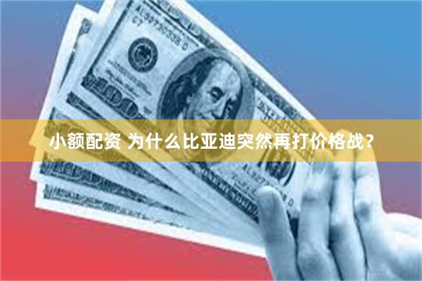 小额配资 为什么比亚迪突然再打价格战？