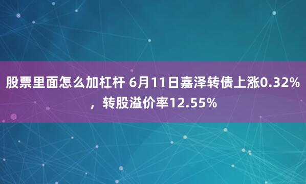 股票里面怎么加杠杆 6月11日嘉泽转债上涨0.32%，转股溢价率12.55%