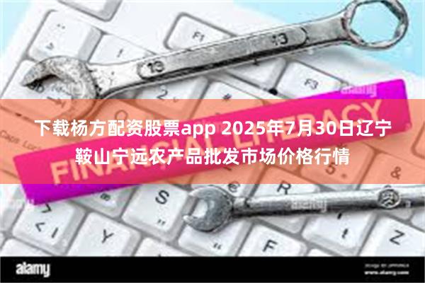下载杨方配资股票app 2025年7月30日辽宁鞍山宁远农产品批发市场价格行情