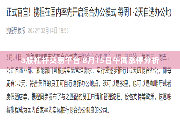 a股杠杆交易平台 8月15日午间涨停分析