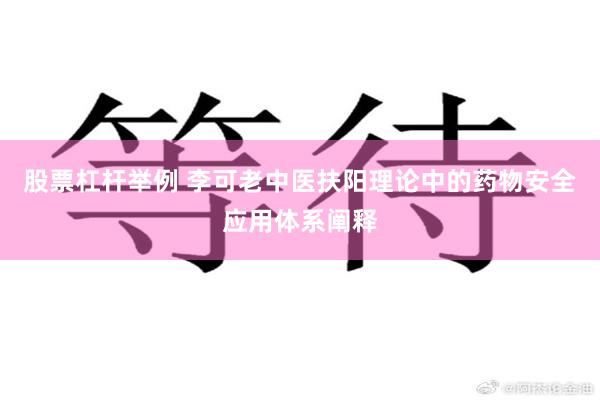 股票杠杆举例 李可老中医扶阳理论中的药物安全应用体系阐释